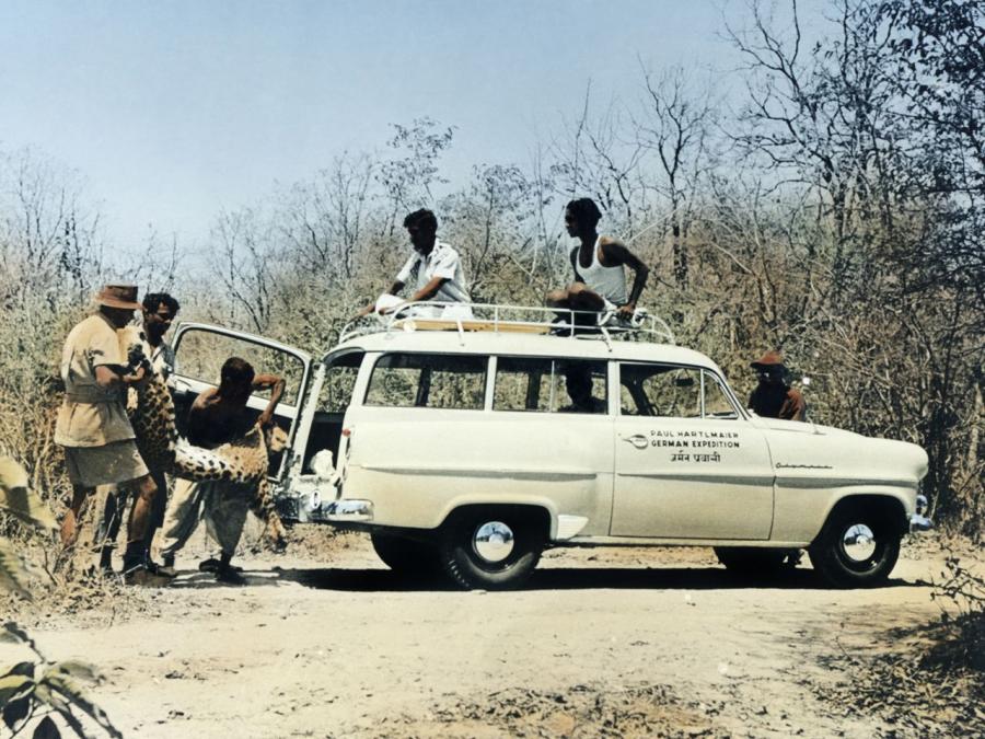  Opel Olympia Rekord Caravan 1953 года  (фото 6 из 6)